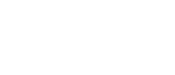 seiler geospatial logo white